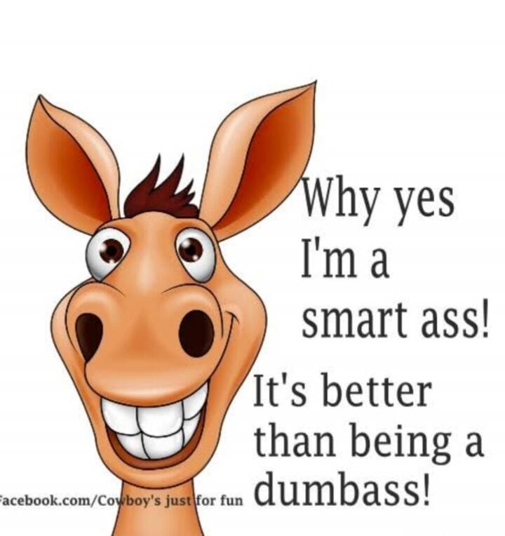 Why yes I'm a smart ass! It's better than being a dumbass!