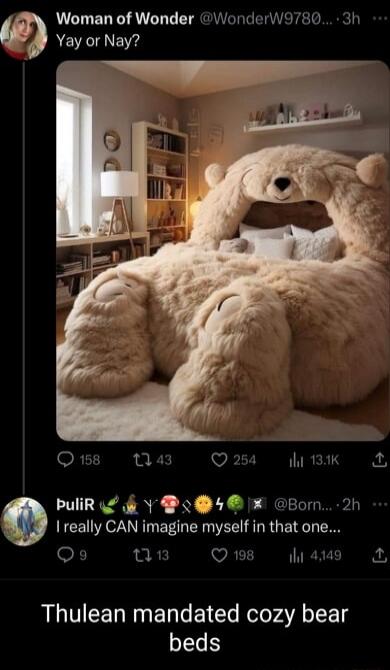 Woman of Wonder WonderWa780 3h Yay or Nay RTINS L Q254 Bk PuliR Y 4 Bormn 2h I really CAN imagine myself in that one OF e 3 Qs lams Thulean mandated cozy bear beds