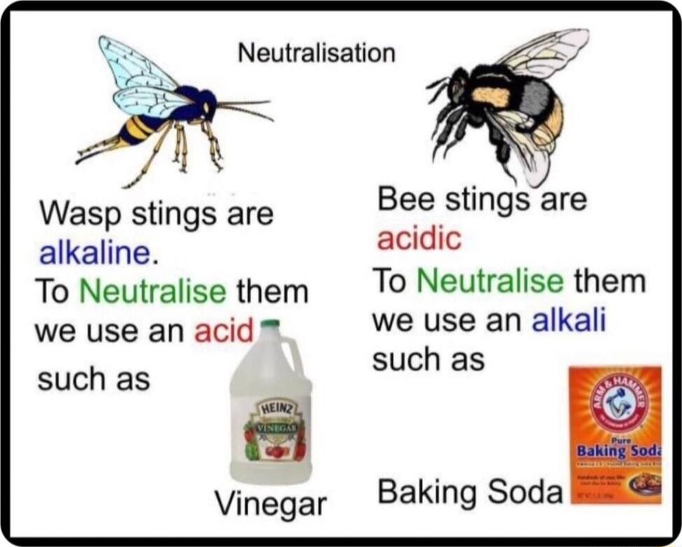 Neutralisation Bee stings are Wasp stings are psung acidic alkaline To Neutralise them To Neutralise them we use an alkali we use an acid such as such as Vinegar Baking Soda