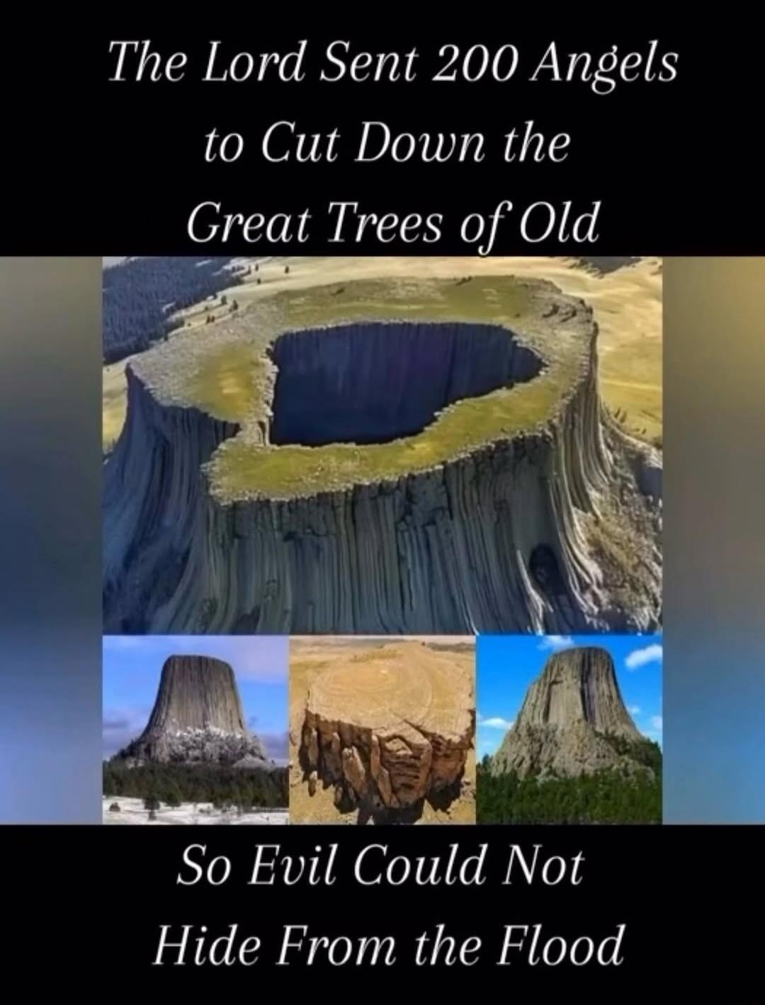 The Lord Sent 200 Angels to Cut Down the Great Trees of Old So Evil Could Not Hide From the Flood
