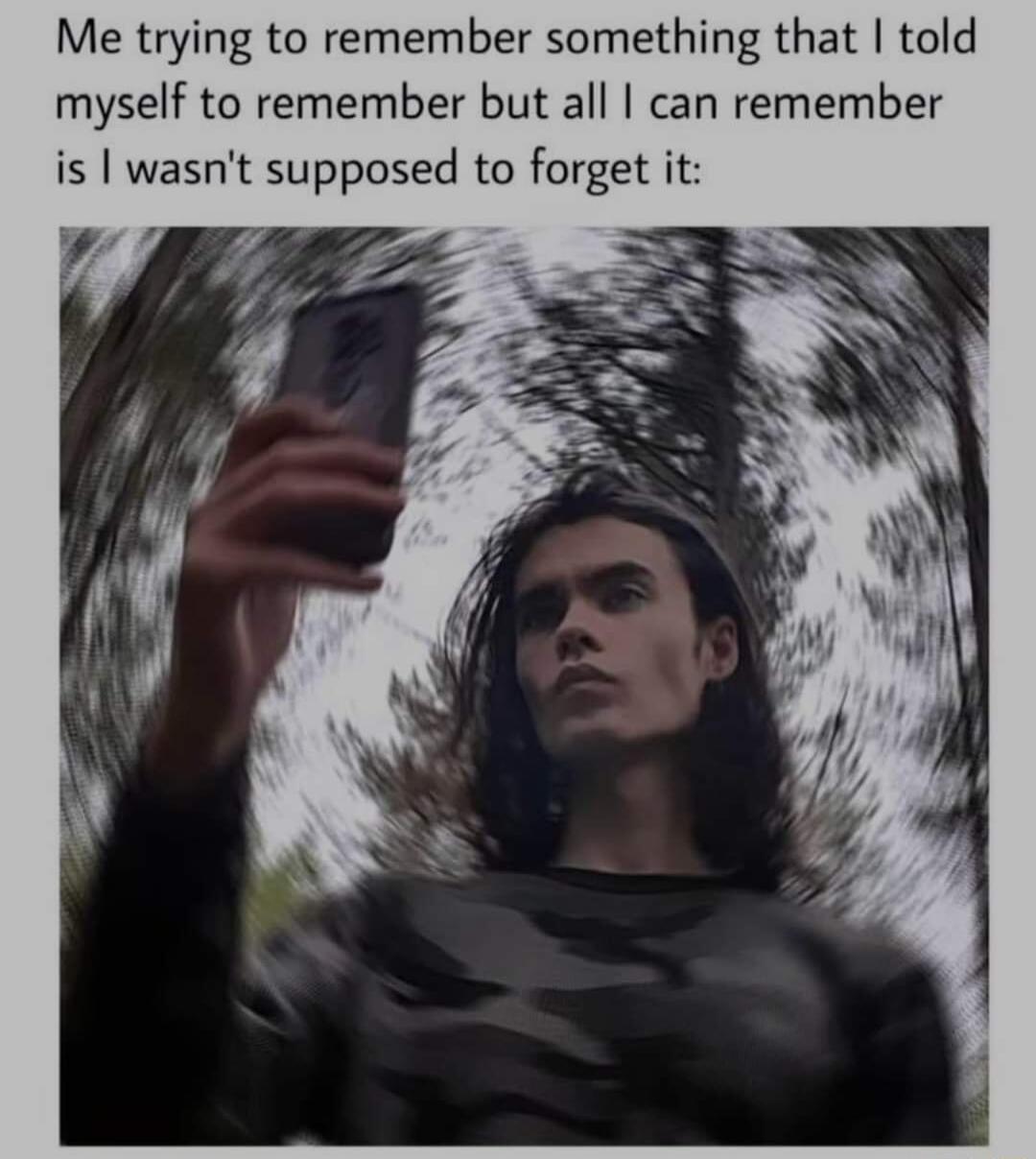 Me trying to remember something that told myself to remember but all can remember is wasnt supposed to forget it