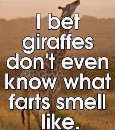 I bet giraffes don't even know what farts smell like.