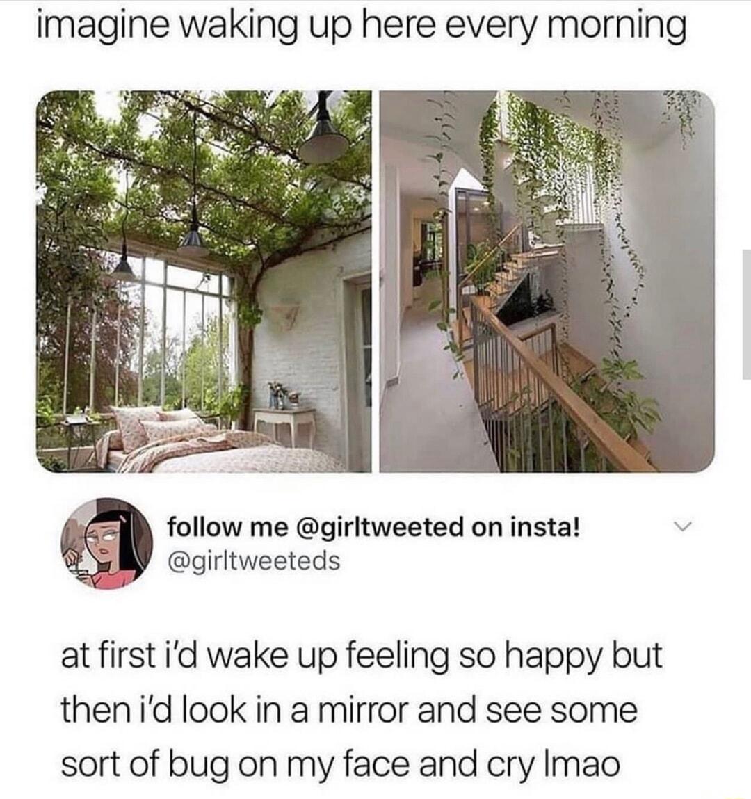 imagine waking up here every morning follow me girltweeted on insta girltweeteds atfirst id wake up feeling so happy but thenid look in a mirror and see some sort of bug on my face and cry Imao