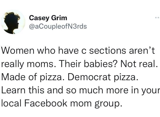 Casey Grim aCoupleofN3rds Women who have c sections arent really moms Their babies Not real Made of pizza Democrat pizza Learn this and so much more in your local Facebook mom group