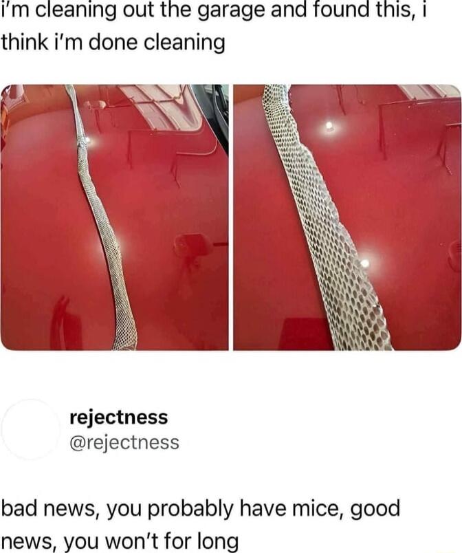 i'm cleaning out the garage and found this, i think i'm done cleaning

rejectness
@rejectness
bad news, you probably have mice, good news, you won't for long