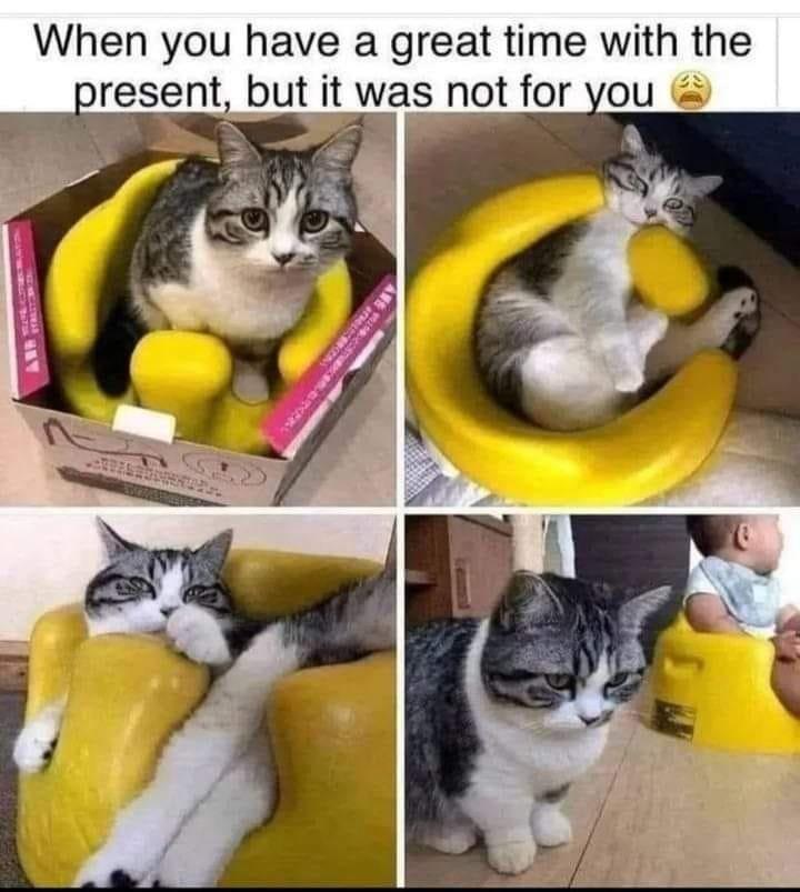 When you have a great time with the resent but it was not for you