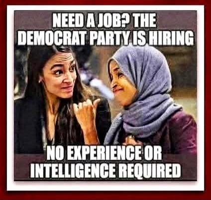NEED A JOB? THE DEMOCRAT PARTY IS HIRING NO EXPERIENCE OR INTELLIGENCE REQUIRED