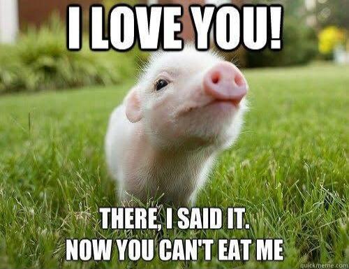 I LOVE YOU! THERE, I SAID IT. NOW YOU CAN'T EAT ME