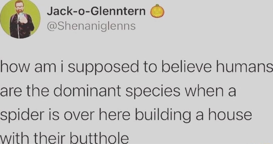 Jack o Glenntern Shenaniglenns how am i supposed to believe humans are the dominant species when a spider is over here building a house with their butthole