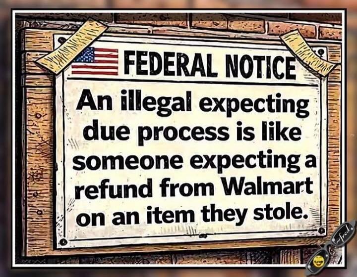 FEDERAL NOTICE An illegal expecting due process is like someone expecting a refund from Walmart on an item they stole.