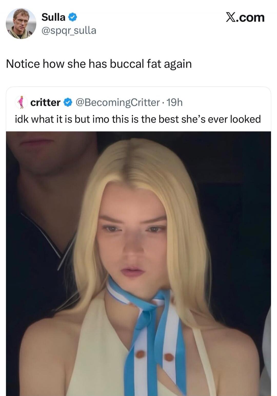 Sulla: Notice how she has buccal fat again. Critter: I don't know what it is but in my opinion, this is the best she's ever looked.