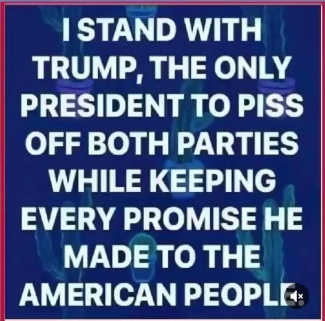 I STAND WITH TRUMP, THE ONLY PRESIDENT TO PISS OFF BOTH PARTIES WHILE KEEPING EVERY PROMISE HE MADE TO THE AMERICAN PEOPLE