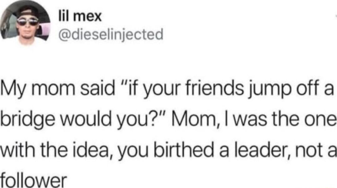 lil mex dieselinjected My mom said if your friends jump off a bridge would you Mom was the one with the idea you birthed a leader not a follower