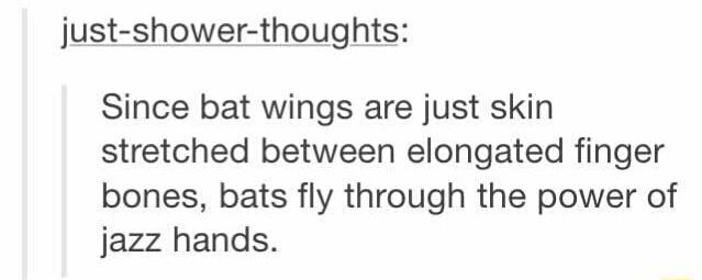 just shower thoughts Since bat wings are just skin stretched between elongated finger bones bats fly through the power of jazz hands