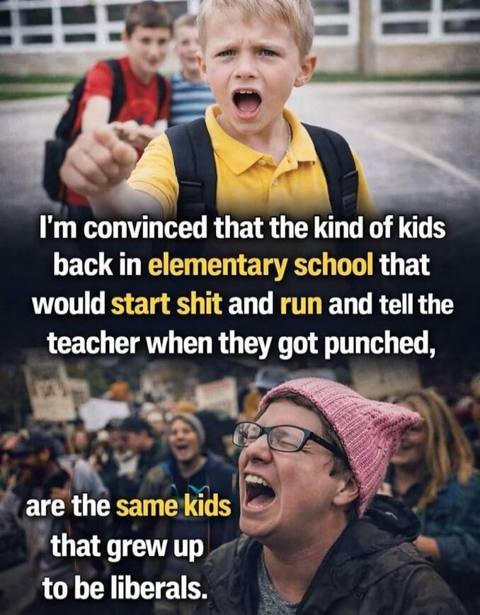 I'm convinced that the kind of kids back in elementary school that would start shit and run and tell the teacher when they got punched, are the same kids that grew up to be liberals.