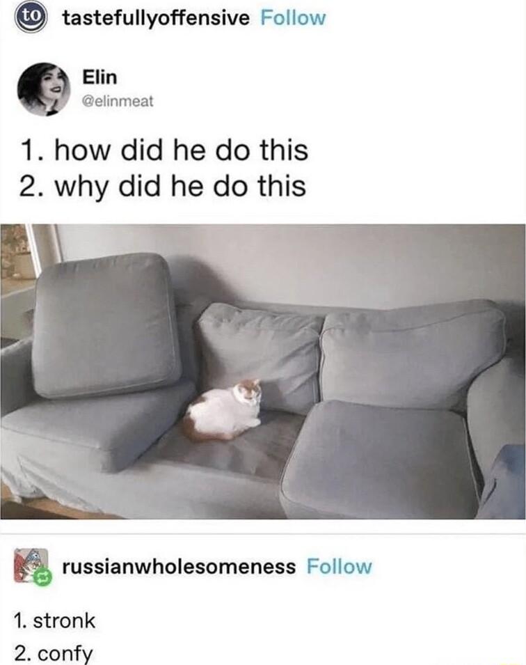 tastefullyoffensive Follow Elin elinmeat 1 how did he do this 2 why did he do this a russianwholesomeness Follow 1 stronk 2 confy