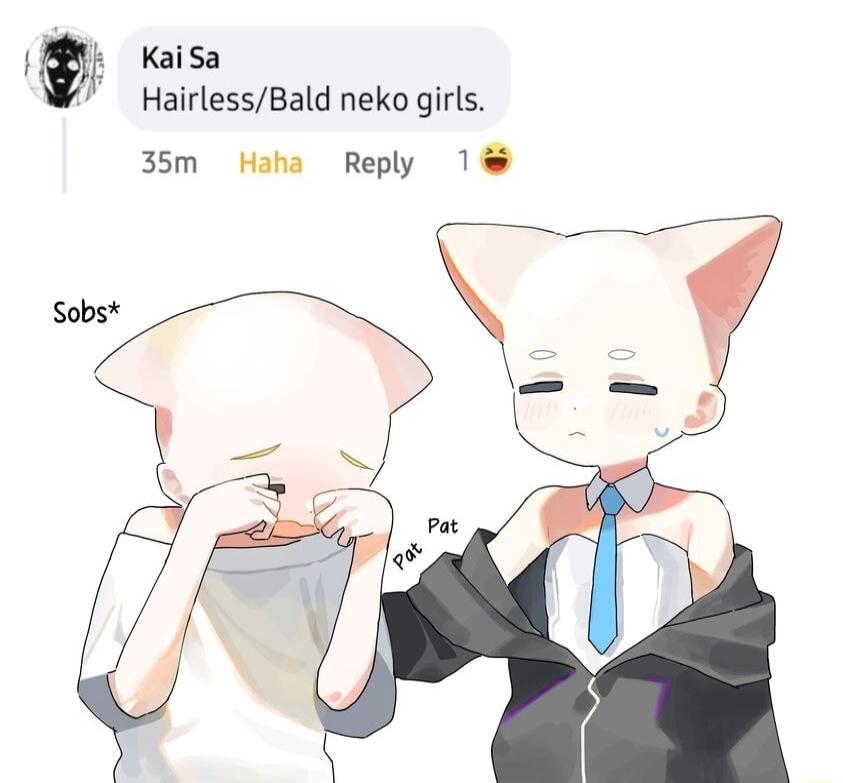t Kai sa HairlessBald neko girls 35m Haha Reply 1