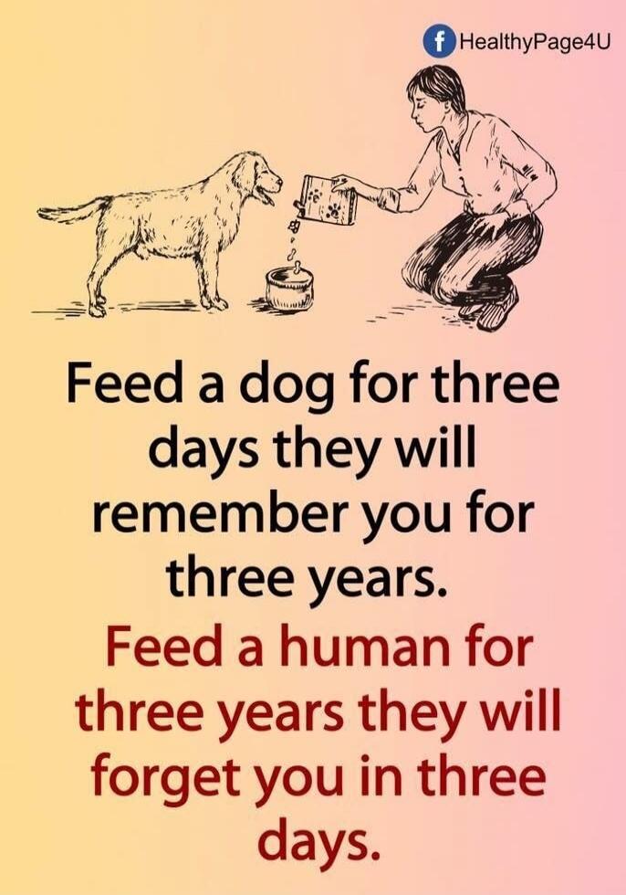 Feed a dog for three days they will remember you for three years. Feed a human for three years they will forget you in three days.
