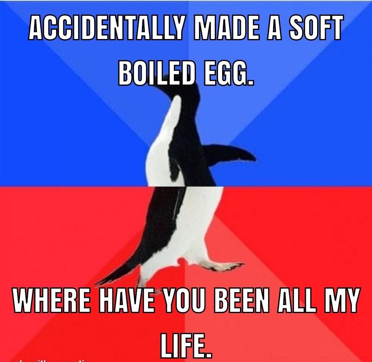ACCIDENTALLY MADEALSOET BOILEDIEGG WHERE HAVE YOUBEEN ALL MY LIEE