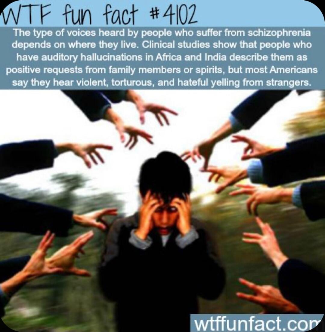 fun fact 4102 The type of voices heard by people who suffer from schizophrenia depends on whers they live Clinical studies show that people who have auditory hallucinations in Africa and India describe them as positive requests from family members or spirits but most Americans say they hear violent torturous and hateful yelling from strangers witffunfactcor