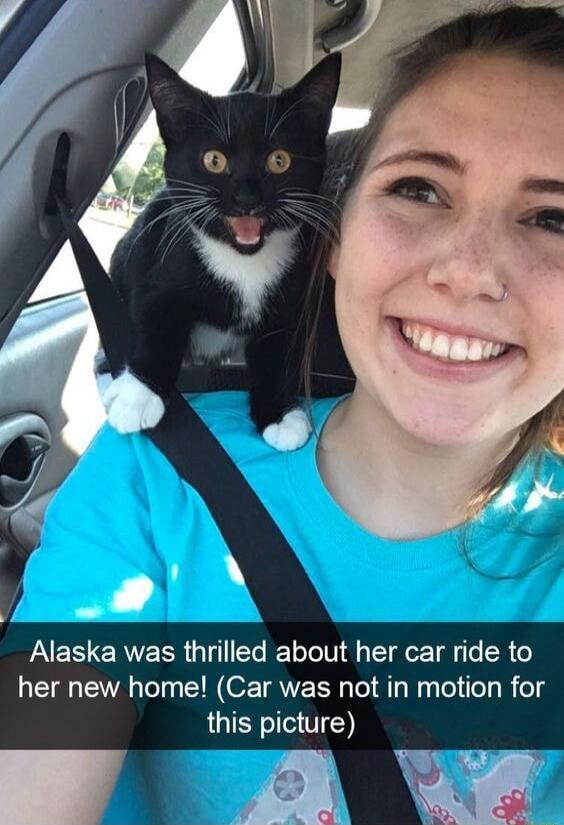 Alaska was thrilled about her car ride to her new home Car was not in motion for this picture A W