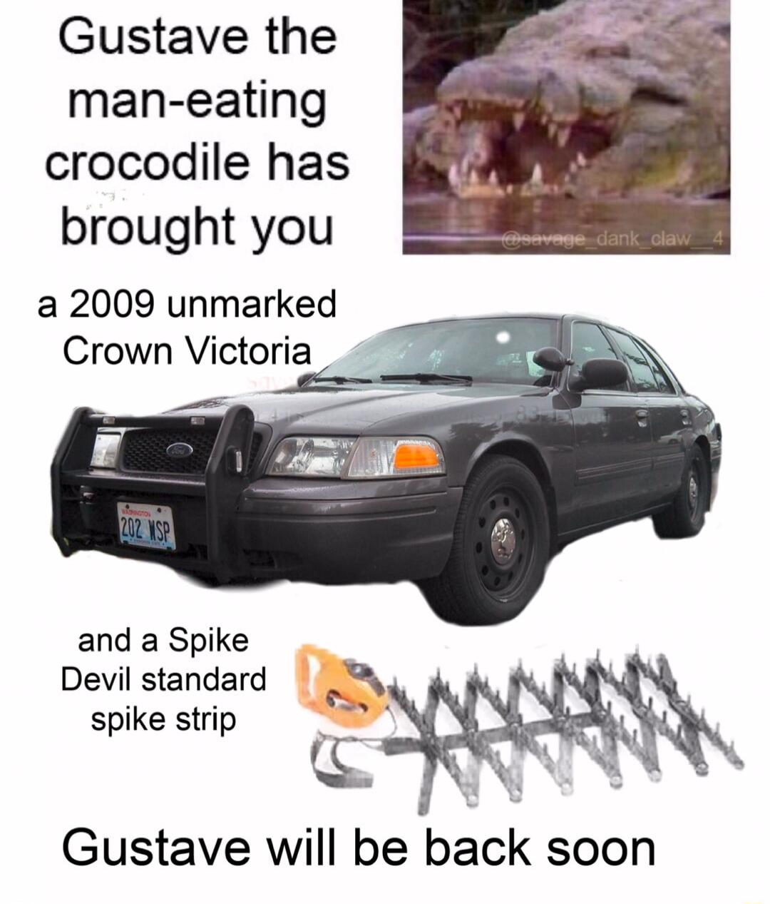 Gustave the man eating crocodile has brought you a 2009 unmarked Crown Victoria and a Spike Devil standard spike strip Gustave will be back soon