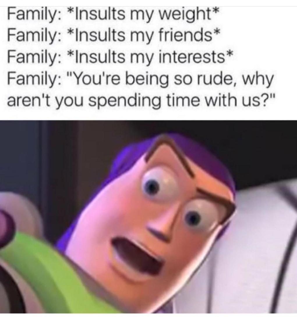 Family Insults my weight Family Insults my friends Family Insults my interests Family Youre being so rude why arent you spending time with us