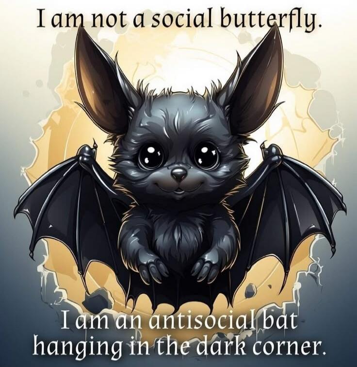 I am not a social butterfly. I am an antisocial bat hanging in the dark corner.