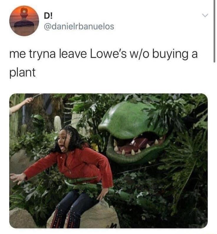 D! @danielrbanuelos me tryna leave Lowe's w/o buying a plant