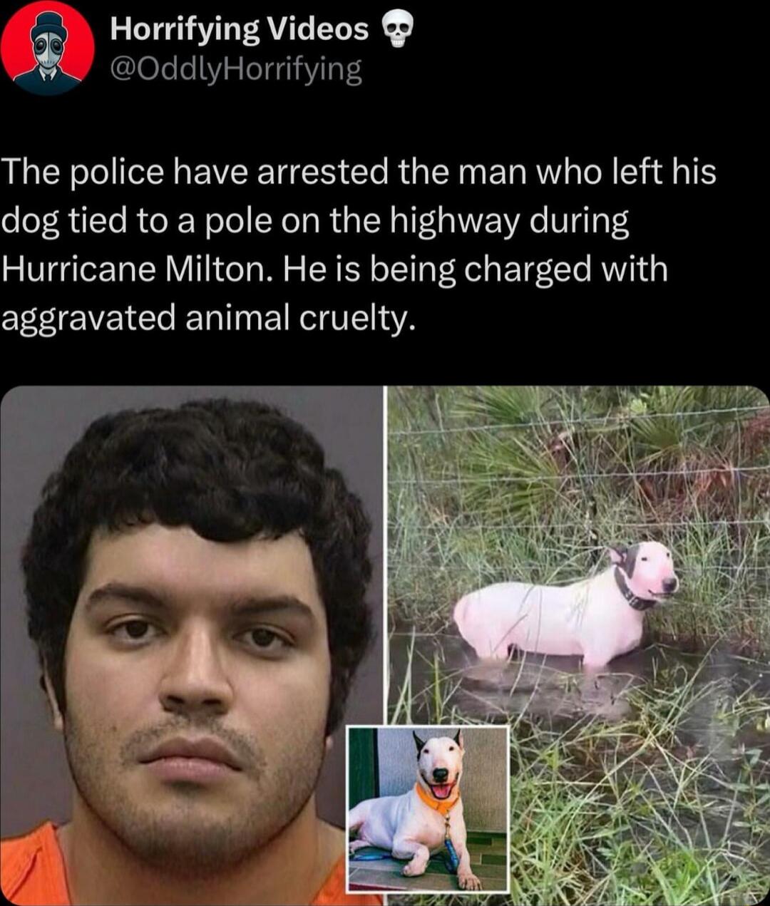 Horrifying Videos 0ddlyHorrifying The police have arrested the man who left his dog tied to a pole on the highway during Hurricane Milton He is being charged with Tl EVET e TR E TRV