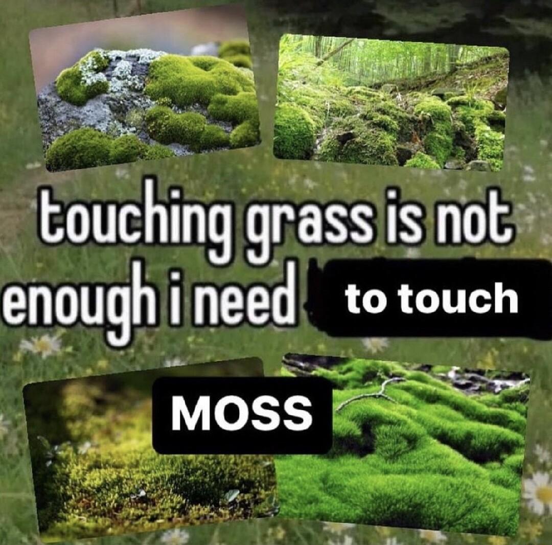 Eouching grass is ot elough ineed totouch e T MOSS RS i3 ks e SR TR Y