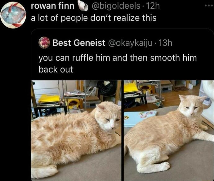 CUELRLLR MRGLICEICEE Ry P a lot of people dont realize this Best Geneist okaykaiju 13h you can ruffle him and then smooth him back out