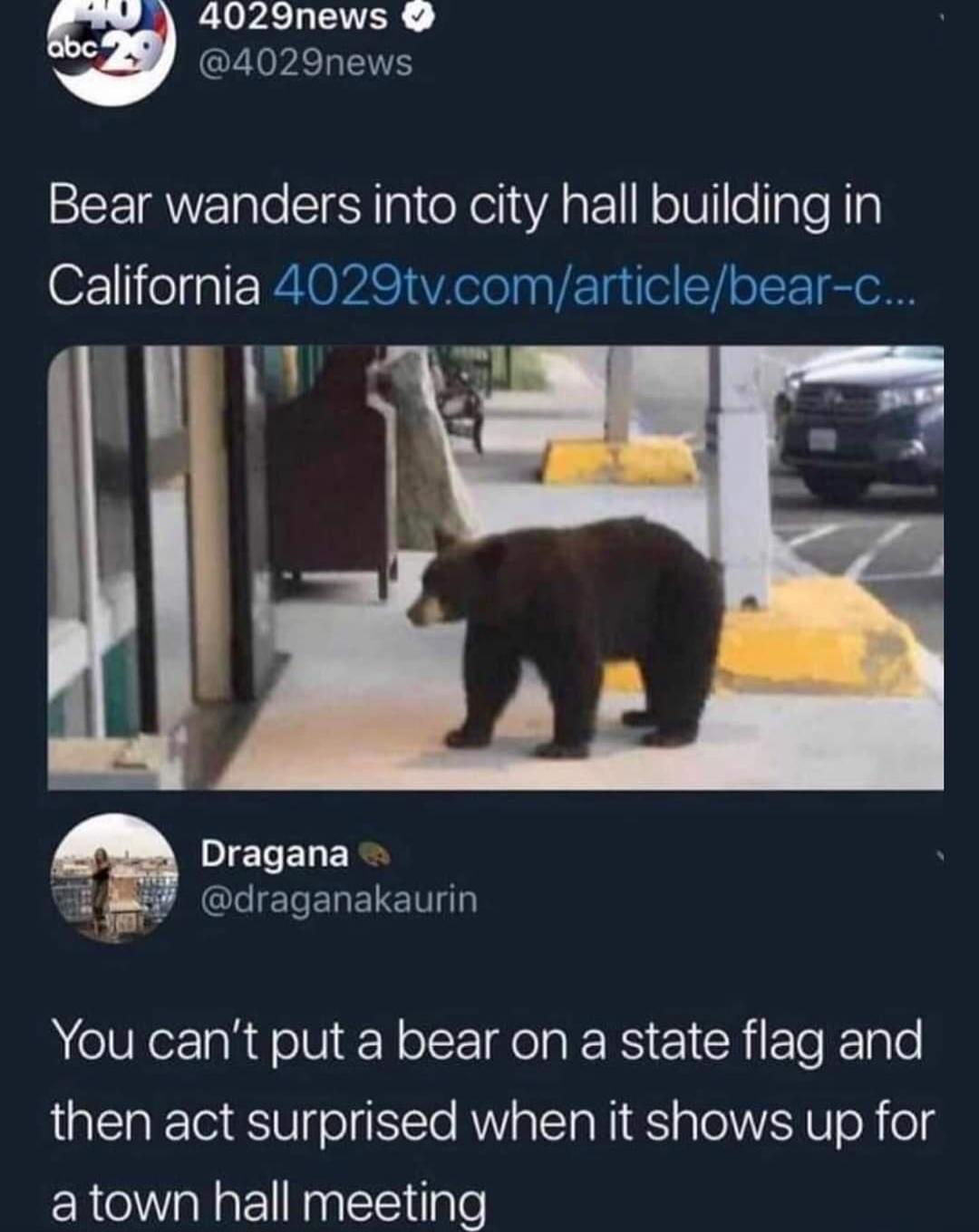 Bear wanders into city hall building in California 4029tv.com/article/bear-c...
You can’t put a bear on a state flag and then act surprised when it shows up for a town hall meeting