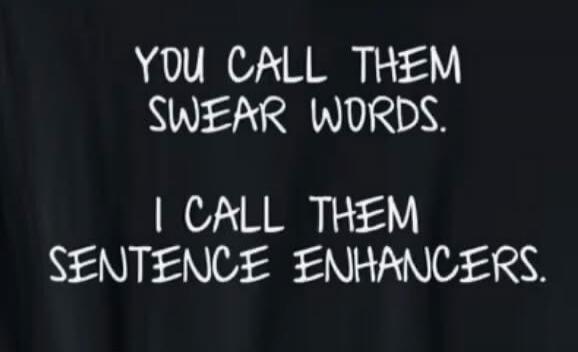 YOU CALL THEM SWEAR WORDS. I CALL THEM SENTENCE ENHANCERS.