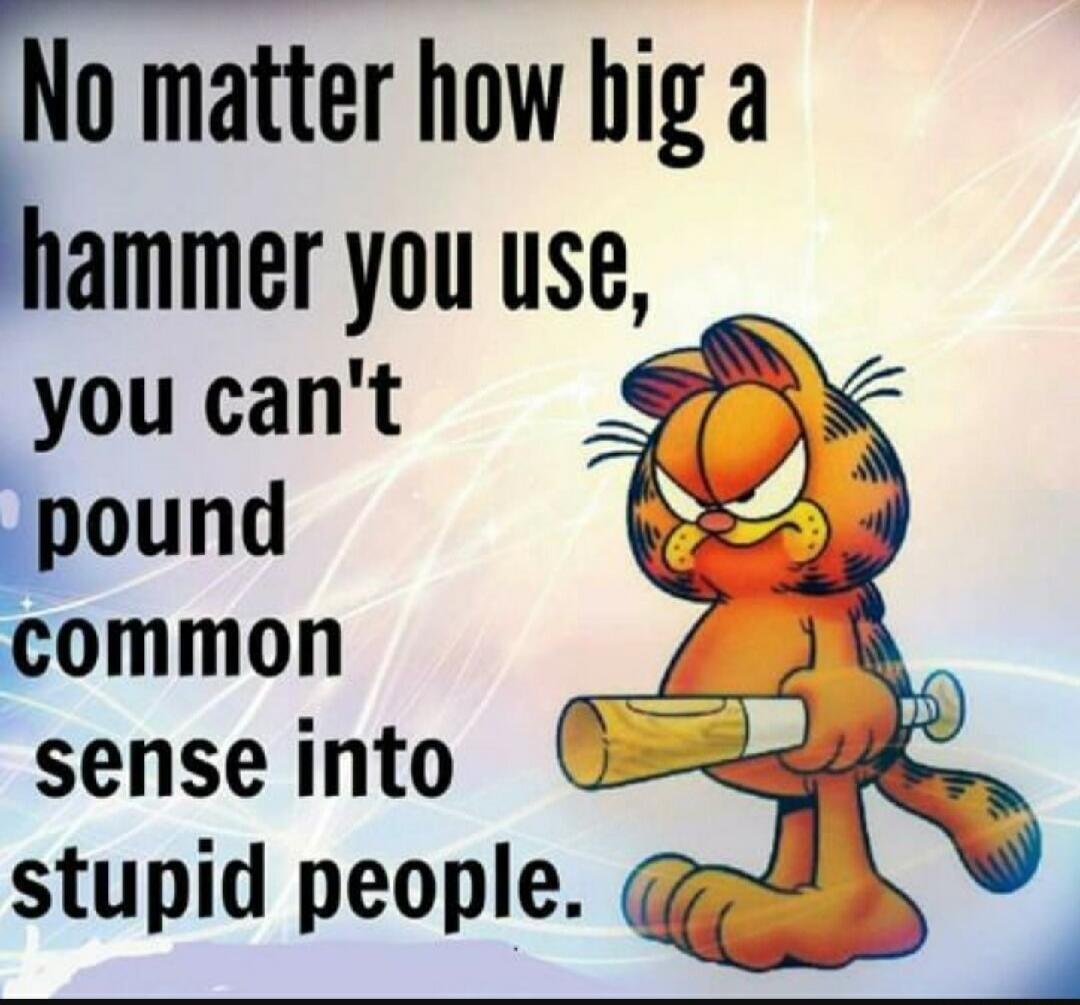 No matter how big a hammer you use, you can't pound common sense into stupid people.
