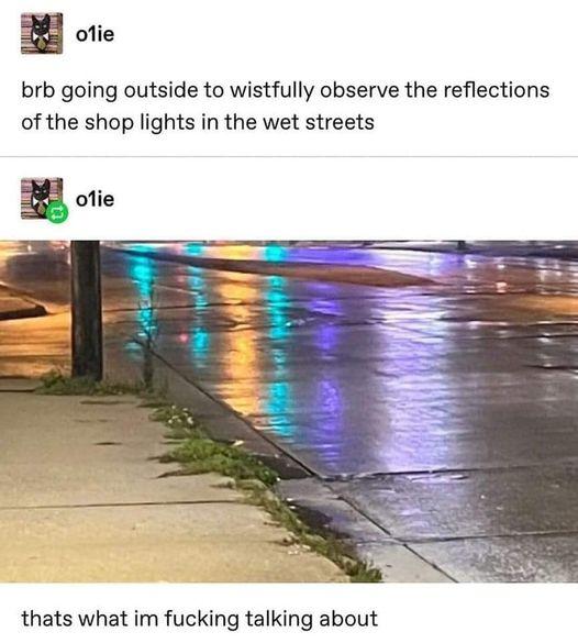 B one brb going outside to wistfully observe the reflections of the shop lights in the wet streets s ofie thats what im fucking talking about