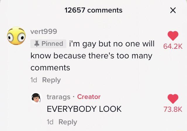 12657 comments X vert999 Pinned im gay but no one will 642K know because theres too many comments 1d Reply trarags Creator EVERYBODY LOOK 738K 1d Reply