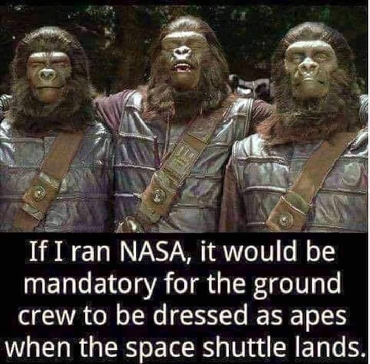 IfI ran NASA it would be mandatory for the ground crew to be dressed as apes when the space shuttle lands