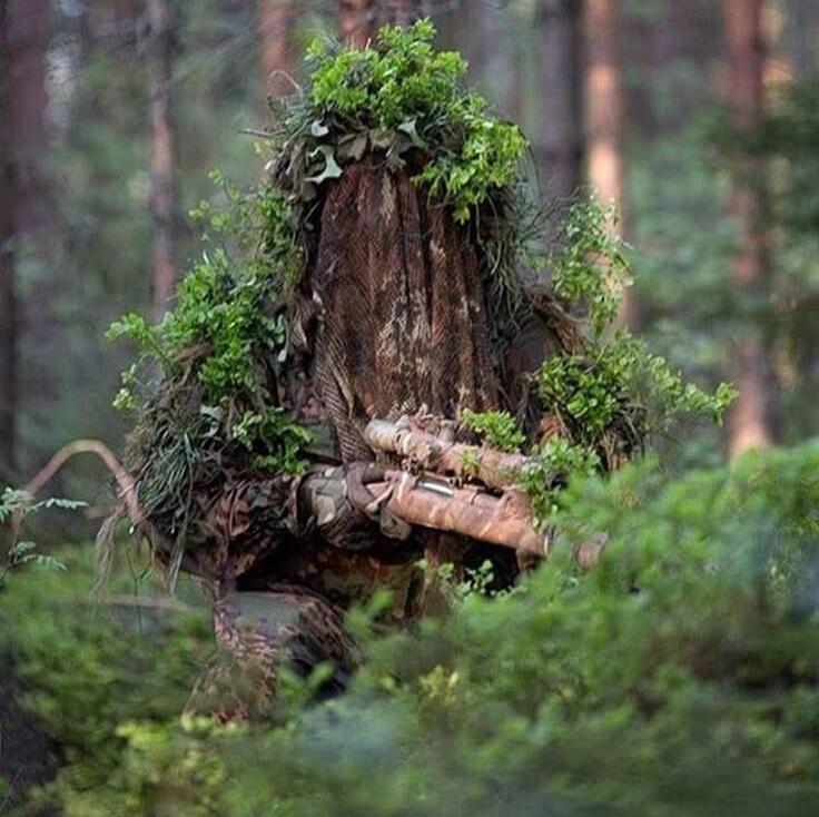 A person wearing a ghillie suit blends into the forest scenery, holding a rifle.