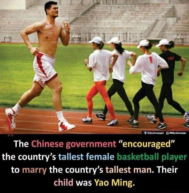 The Chinese government encouraged the countrys tallest female b to marry the countrys tallest UELN Thelr CRVEREL RIS