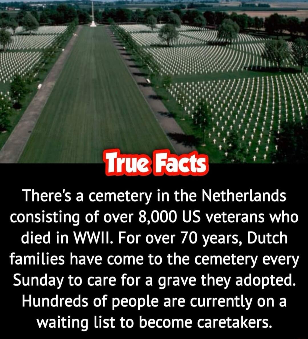2 ALECHERC AL RGN SO ERGE consisting of over 8000 US veterans who died in WWIL For over 70 years Dutch families have come to the cemetery every Sunday to care for a grave they adopted Hundreds of people are currently on a waiting list to become caretakers