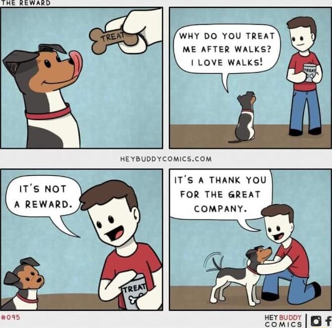n WHY DO YOU TREAT ME AFTER WALKS LOVE WALKS HEYBUDDYCOMICSCOM ITs NOT A REWARD ITS A THANK YOU FOR THE GREAT COMPANY HEYsuDDY iy f
