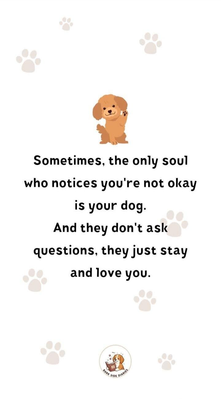 Sometimes, the only soul who notices you're not okay is your dog. And they don't ask questions, they just stay and love you.