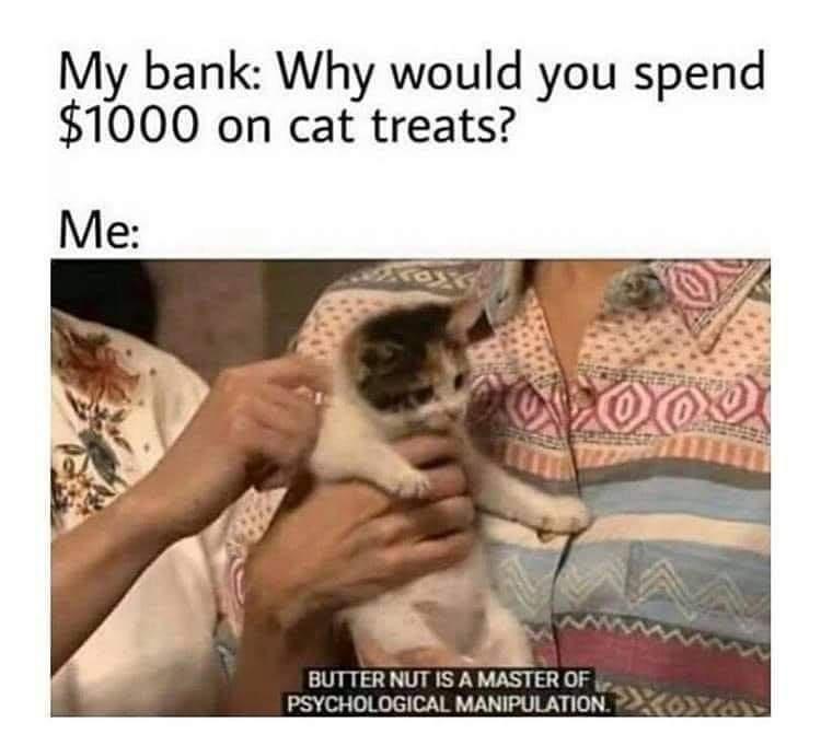 My bank Why would you spend 1000 on cat treats