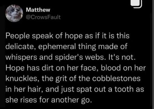 People speak of hope as if it is this e CUIEI T I EIE R G T BT Rl whispers and spiders webs Its not eTo TN t a QeTo B TT Tel Ml o oToTe Mo T Wy 13 LG R QR el RGNl ER Gl I R E AT ST ST E IR N R el K1 she rises for another go