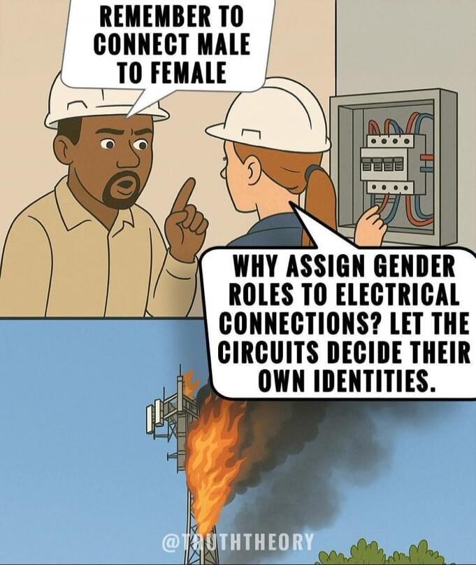 REMEMBER TO CONNECT MALE TO FEMALE. WHY ASSIGN GENDER ROLES TO ELECTRICAL CONNECTIONS? LET THE CIRCUITS DECIDE THEIR OWN IDENTITIES.