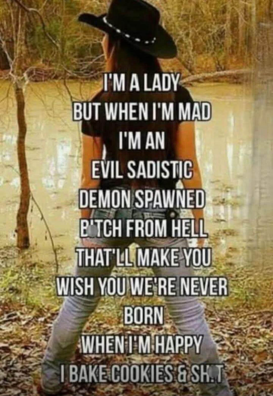 I'M A LADY BUT WHEN I'M MAD I'M AN EVIL SADISTIC DEMON SPAWNED B*TCH FROM HELL THAT'LL MAKE YOU WISH YOU WERE NEVER BORN WHEN I'M HAPPY I BAKE COOKIES & SH.T