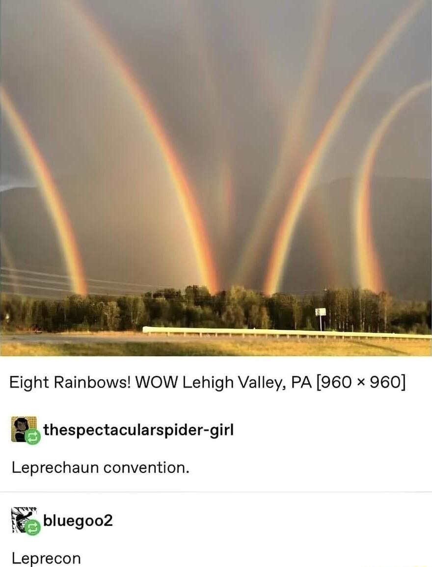 Eight Rainbows WOW Lehigh Valley PA 960 x 960 thespectacuIarspider girl Leprechaun convention Ehluegooz Leprecon