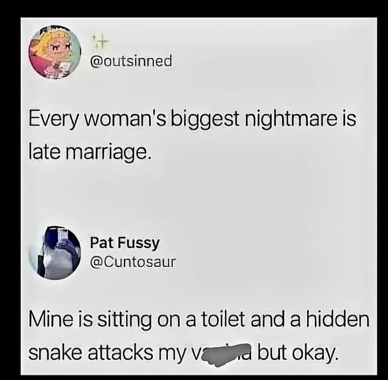 @outsinned Every woman's biggest nightmare is late marriage. Pat Fussy @Cuntosaur Mine is sitting on a toilet and a hidden snake attacks my vagina but okay.