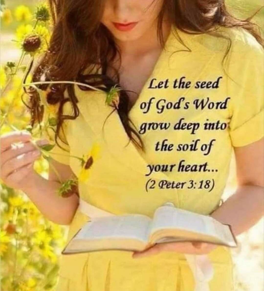 Let the seed of God's Word grow deep into the soil of your heart... (2 Peter 3:18)